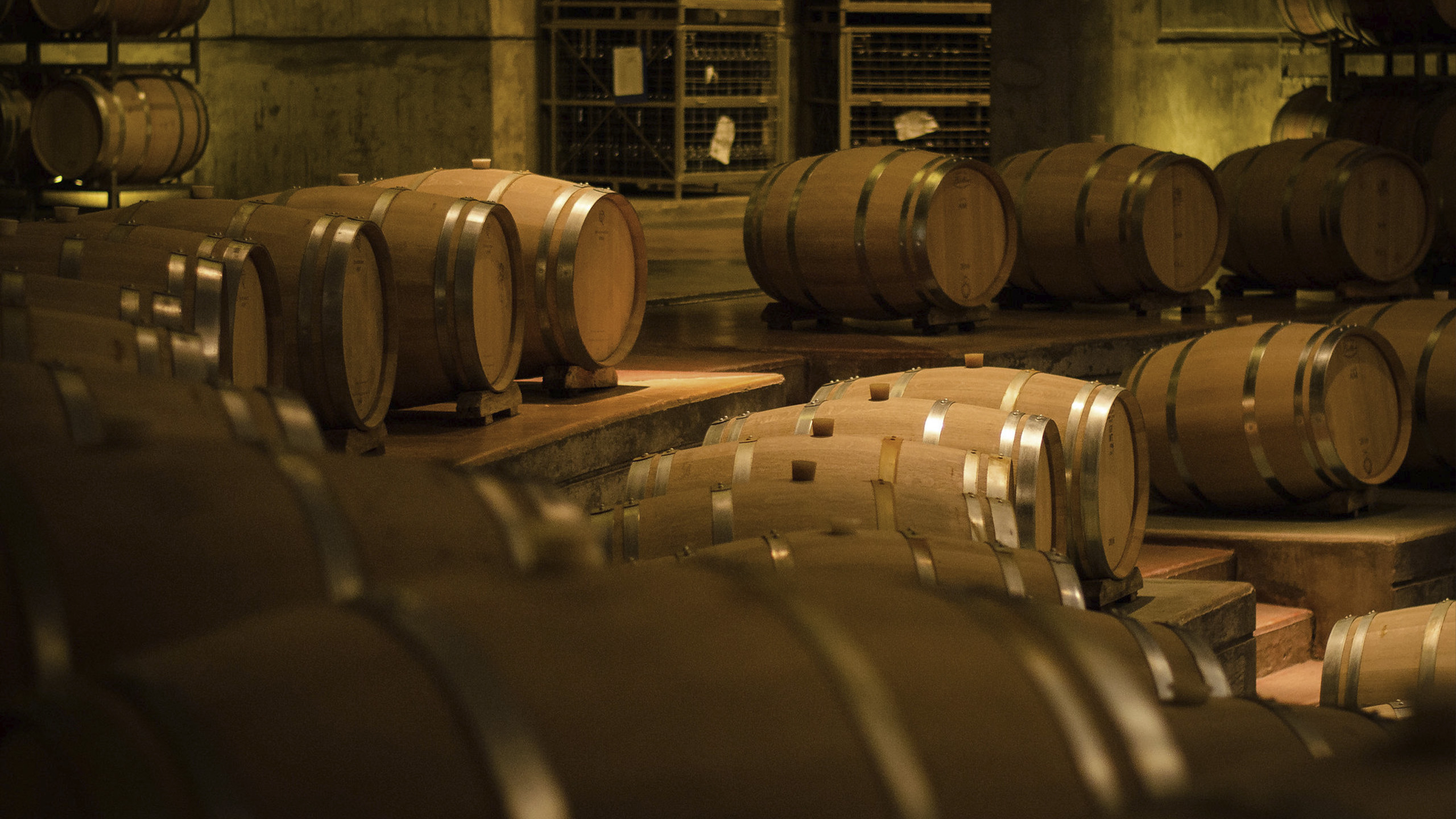 Bodega en Luján de Cuyo con barricas de roble, ideal para degustaciones de vinos Malbec en un tour exclusivo. 