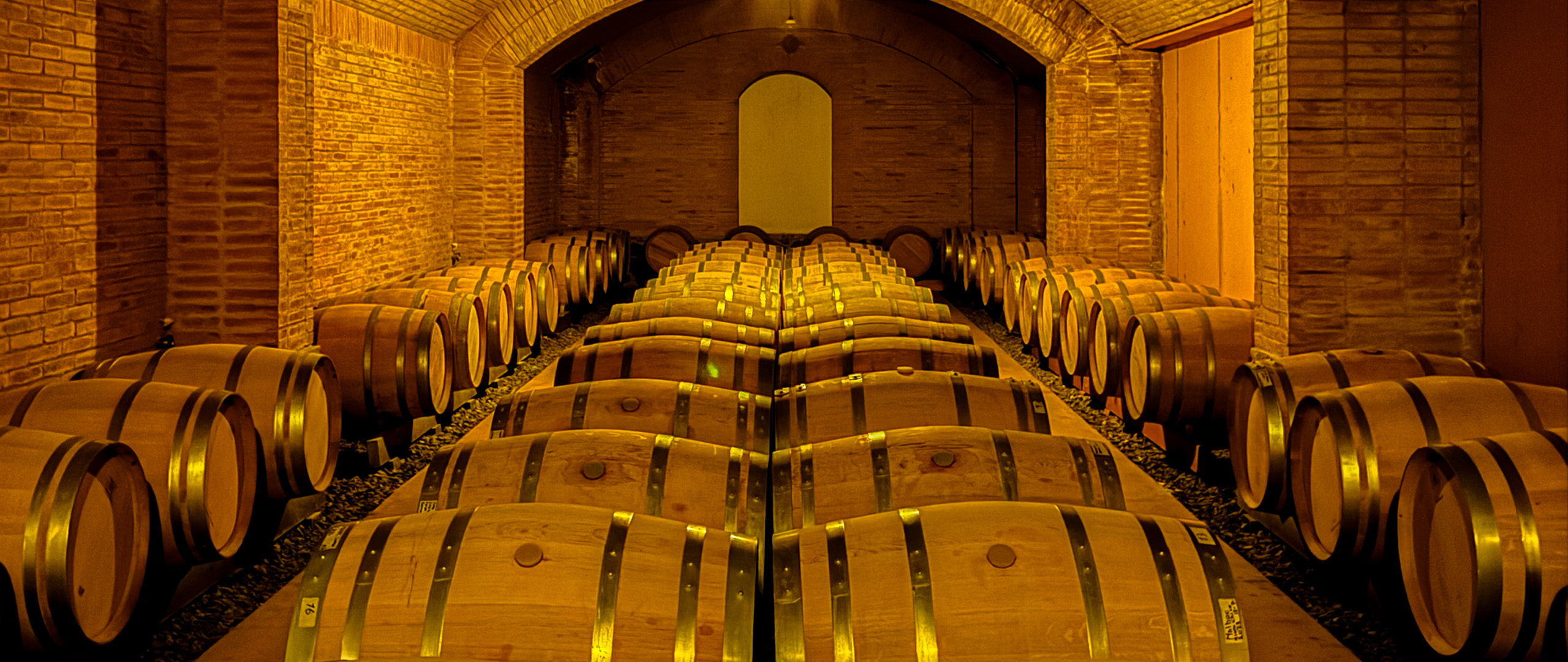 Interior de una bodega con barricas de vino.