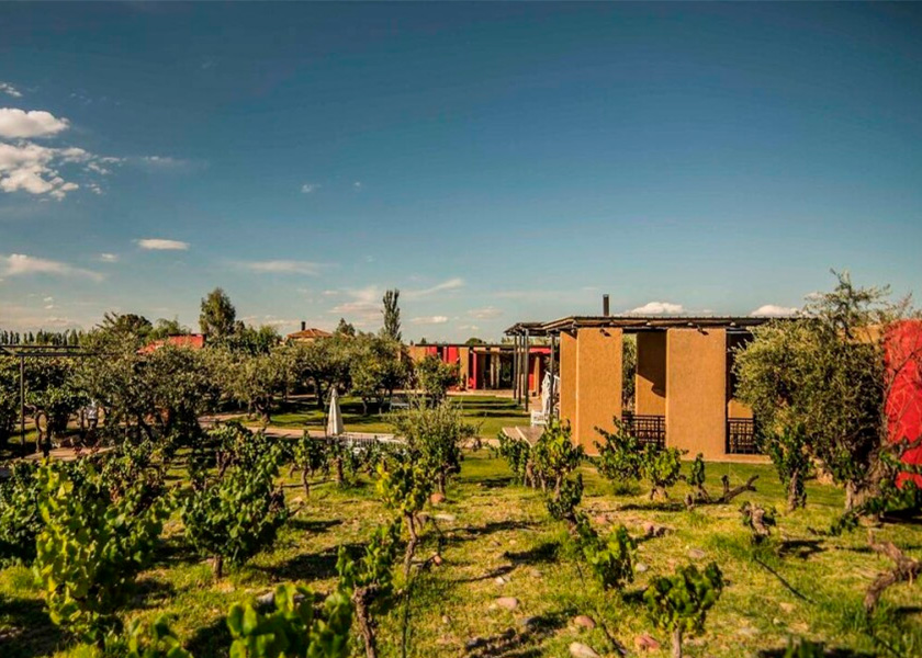 Bodega Casa Vigil en Maipú, Mendoza.